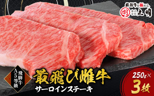 ＜最飛び雌牛＞飛騨牛A5等級サーロインステーキ　250g×3枚【1520145】