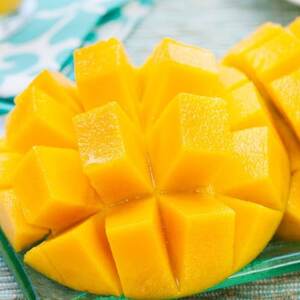 【2026年7月から順次発送・ご家庭向け】アーウィンマンゴー2玉+希少金蜜マンゴー1玉【配送不可地域：離島】【1657378】