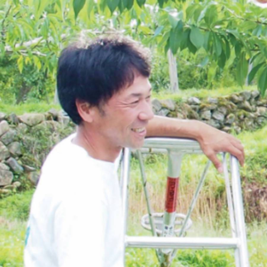 【もったいない！を食べよう】飛騨産桃（品種おまかせ）＆りんご（品種おまかせ）2回定期便