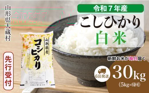 ＜令和7年産米先行受付＞ 大蔵村産 こしひかり 【白米】 定期便 30kg （5kg×1ヶ月間隔で6回お届け）＜配送時期選べます＞