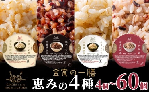 ご飯パック 金賞 健康米 食べ比べ 恵みの4種セット 黒米 金のいぶき キラリモチ 十六雑穀 120g×60個入り 国産 レンチン もち麦 軽食 夜食 簡単 白米 麦 食物繊維 ビタミン 御飯 ごはん パック ご飯 パックライス
