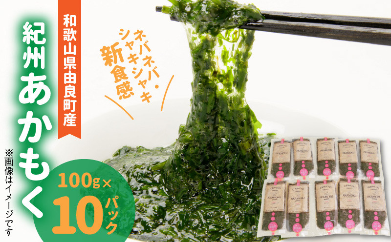 
            紀州あかもく（由良町産）100g×10パック（2025年産）_BB6200
          