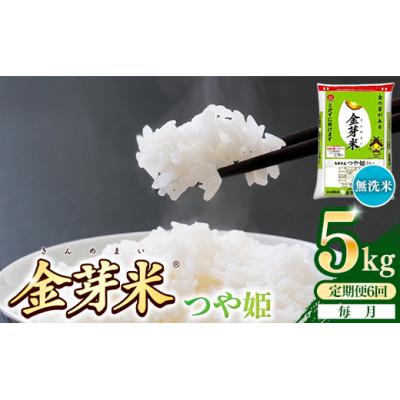 ふるさと納税 安来市 【毎月定期便】BG無洗米・金芽米つや姫 5kg全6回