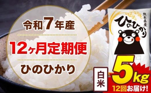 【12ヶ月定期便】令和7年産 白米 5kg 米 ひのひかり《お申込み翌月から出荷》熊本県 菊池市 国産 熊本県産 白米 精米 無洗米 送料無料 ヒノヒカリ こめ お米