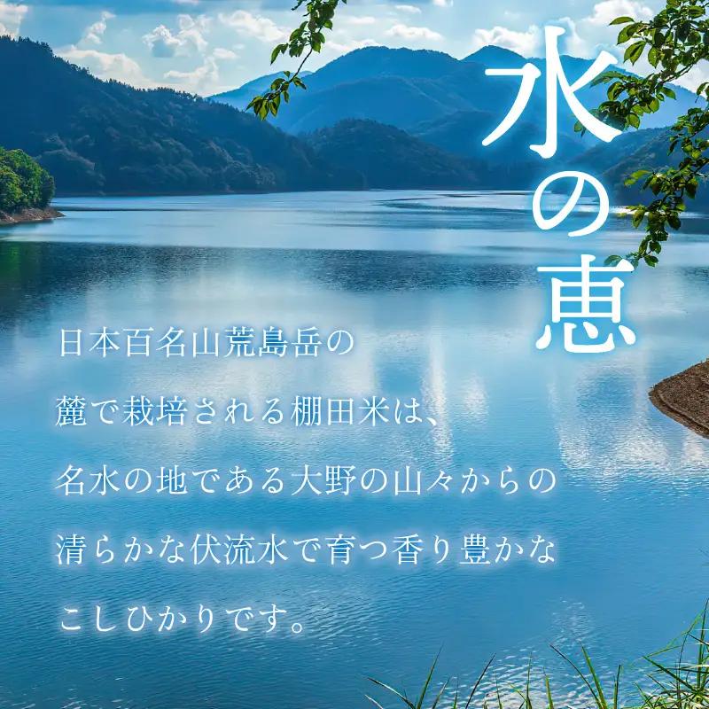 【令和8年産 新米】【3ヶ月定期便】越前大野産 一等米 帰山農園の棚田育ちコシヒカリ 5kg 無洗米