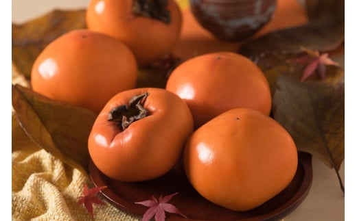 
                  【2026年発送】八頭町が誇る日本随一の甘柿『花御所柿』 3kg
                