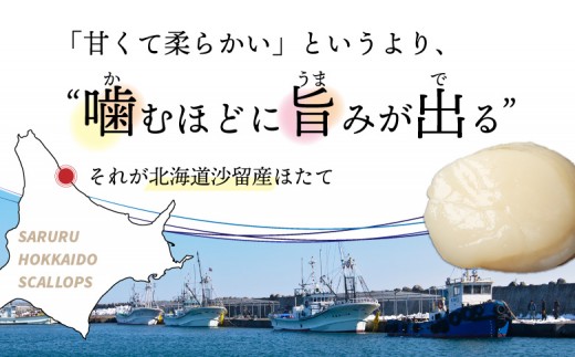 【お手頃サイズ】オホーツク産ホタテ玉冷500g（約30～40玉入り）