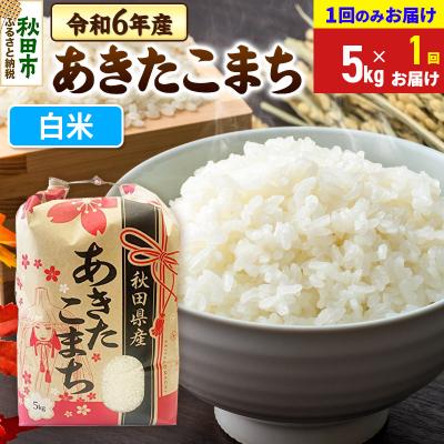 ふるさと納税 秋田市 あきたこまち5kg【1回お届け】 白米 令和6年|15_kml-010501h