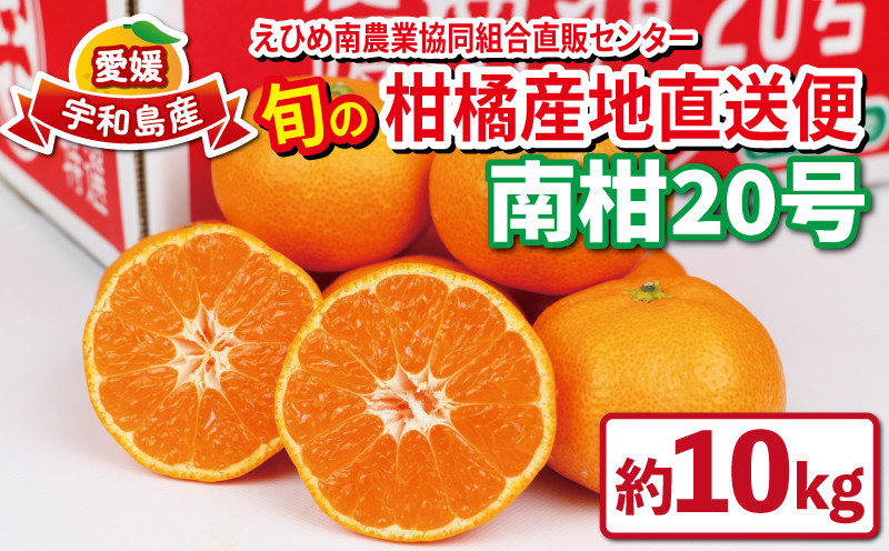 
            愛媛 みかん 優品 南柑20号 10kg 先行予約 えひめ南農業協同組合直販センター JA 温州みかん mkan 蜜柑 果物 くだもの フルーツ 柑橘 愛媛ミカン 愛媛蜜柑 農家直送 産地直送 数量限定 国産 愛媛 宇和島 B020-009002
          