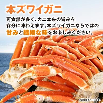 ふるさと納税 いすみ市 訳アリボイル本ズワイガニ肩 1.3kg |  | 01