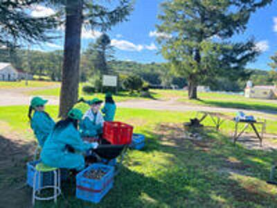 ＜標茶高校創生ゼミが北海道からお届け＞ジャガイモ3種類　計5kg（とうや、きたあかり、メークイーン）