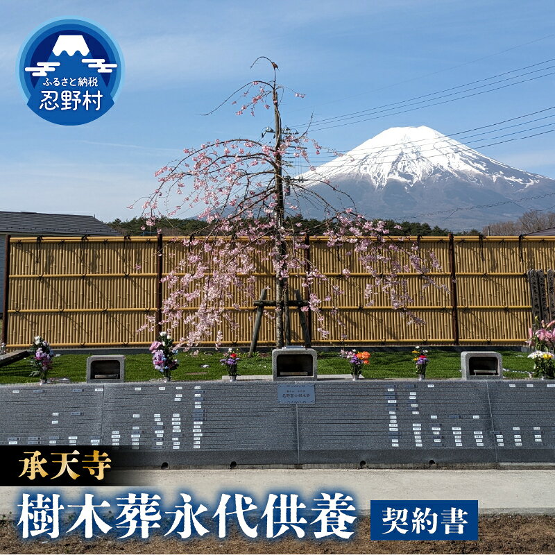【ふるさと納税】忍野富士樹木葬 永代供養 樹木葬 お墓 納骨 一霊位 終活 集合墓地 承天寺 山梨県 忍野村