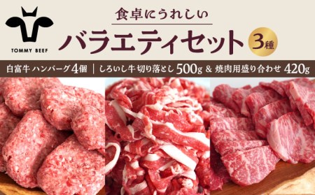 食卓にうれしいバラエティ セット（白富牛 手ごねハンバーグ 4個＆切り落とし 500g＆焼肉用 420g） 佐賀セントラル牧場 [IAH191]