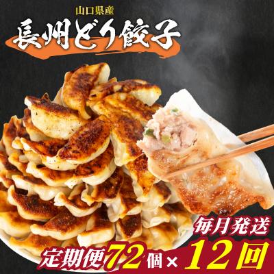 ふるさと納税 下関市 訳あり 長州どり餃子 12回 毎月 定期便 72個 12個×6パック 冷凍 小分け IB050