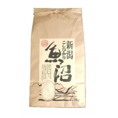 ふるさと納税 十日町市 魚沼産こしひかり 5kg