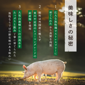 放牧豚”炭豚”の豚丼セット(120g×5)