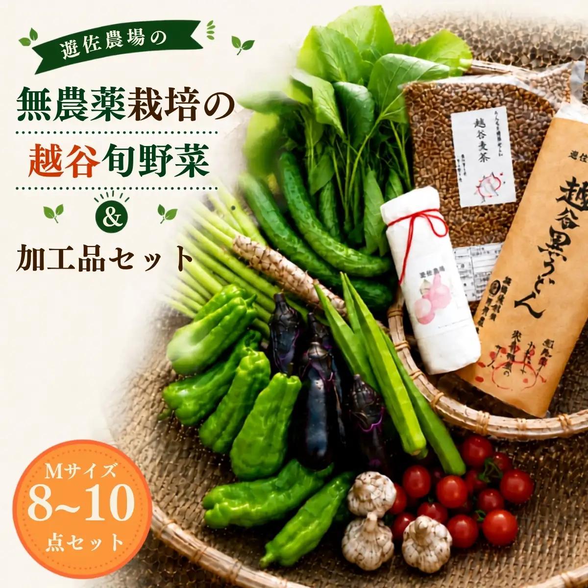 無農薬栽培の旬野菜＆加工品セット M | 野菜 やさい 旬 新鮮 採れたて 産地直送 直送 お取り寄せ 安全 安心 地元 オーガニック野菜 季節野菜 旬野菜 詰合せ 循環農業 埼玉県 越谷市