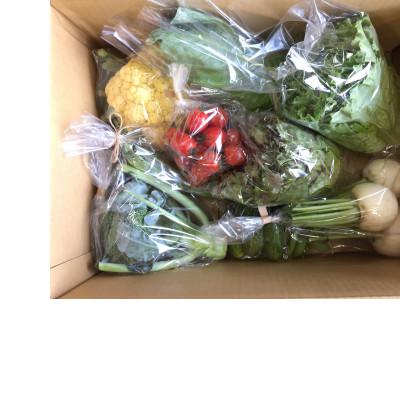 ふるさと納税 江別市 北海道江別産　季節の彩り野菜セット　L|Ambitious Farm |  | 02