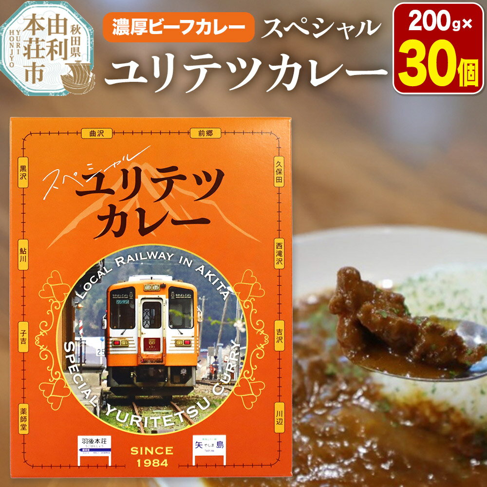 【ふるさと納税】由利高原鉄道 スペシャル ユリテツカレー 200g×30個
