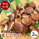 【ふるさと納税】森ペンしいたけ 2kg