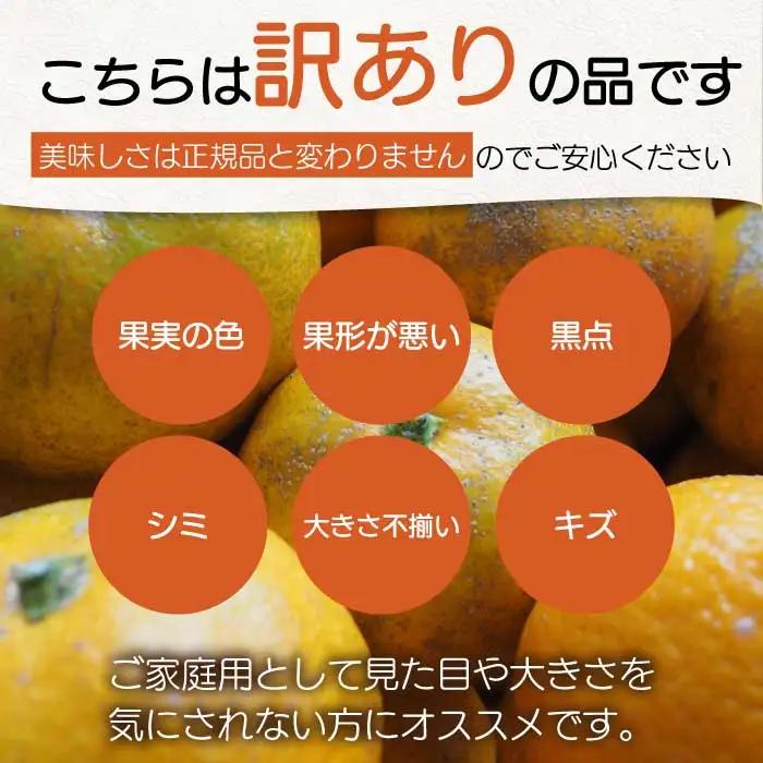 【おくはち農園】〈訳あり〉レモン 2.5kg 《2027年3月～4月発送予定》栽培期間中 防腐剤 ワックス 不使用 旬 柑橘 かんきつ フルーツ 果物  166030