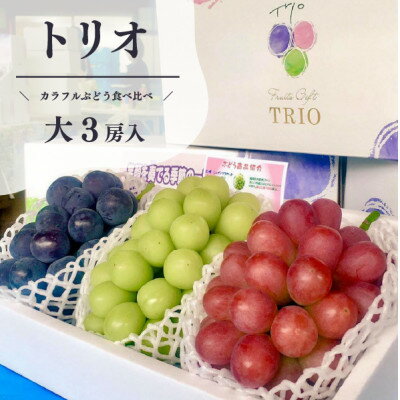 【ふるさと納税】【きよとうファーム】葡萄の宝石箱トリオ(シャインマスカット入り3品種詰合せ)(岡山県産)【配送不可地域：離島】【1606494】