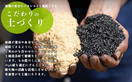 令和６年産（2024年産）霧島湧水が育む「きりしまのゆめ」コシヒカリ 6kg 減農薬栽培のお米(特別栽培米・無洗米・真空チャック式) TF0664-P00026