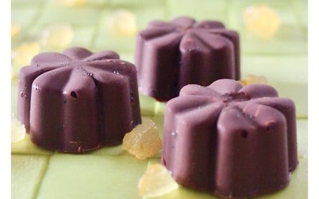 白砂糖不使用オーガニックチョコ100％使用ミニチョコセット＜15個入り＞_A0021-042
