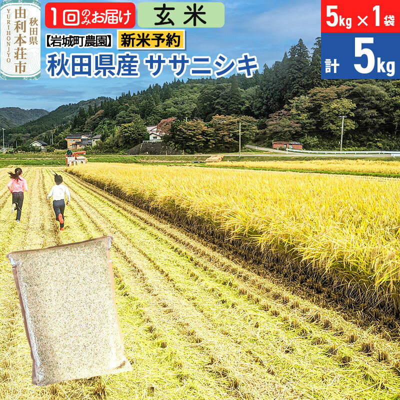 【ふるさと納税】《令和7年産 新米予約》【玄米】ササニシキ 5kg(5kg×1袋) 秋田県 由利本荘市産 令和7年産 真空パック 岩城町農園