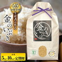 【ふるさと納税】【定期便】令和6年産 米 金のいぶき 玄米《選べる 容量 回数》米・食味分析鑑定コンクール金賞受賞生産者 5kg 10kg（有機JAS）【令和6年産】 定期 3回 | ふるさと納税 米 定期便 玄米 お米 ご飯 山形 高畠町 ふるさと 人気 送料無料 ランキング F21B-140var