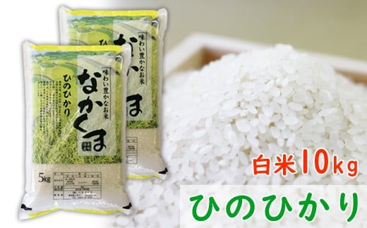 令和６年産　熊本県あさぎり町産のお米　ヒノヒカリ10kg(5kg×2袋)