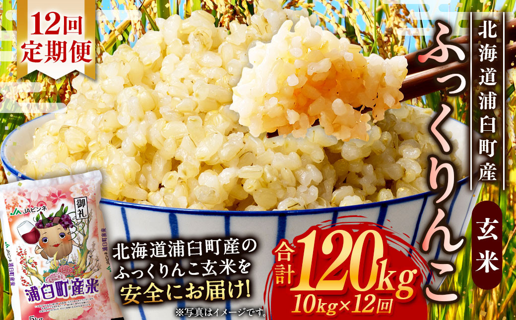 
            【12回定期便】浦臼産ふっくりんこ 玄米 10kg×1袋 | 米 お米 こめ コメ ブランド米 ごはん ふっくりんこ 定期 定期便 北海道産 浦臼産 北海道 浦臼町
          