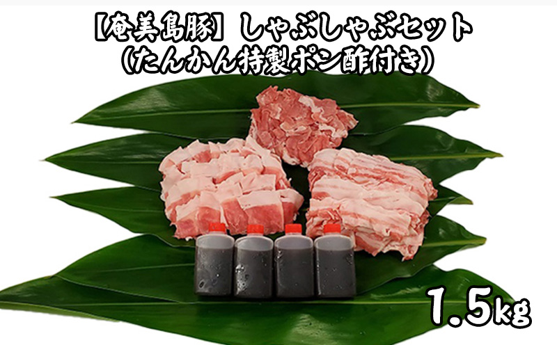 【奄美島豚】しゃぶしゃぶセット1.5kg（たんかん特製ポン酢付き） 鹿児島県 奄美群島 奄美大島 龍郷町 国産 奄美産 豚肉 島豚 黒毛 希少 冷凍 小分け お取り寄せ