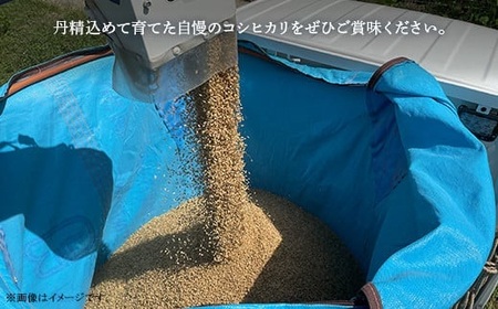 お米 食べ比べセット 5kg（コシヒカリ・きぬむすめ）井原市美星町産(令和7年産)