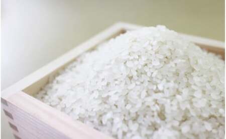 【3回定期便】 熊本県あさぎり町産のお米ヒノヒカリ 10kg（5kg×2袋）×3回発送 お米 米 ライス おにぎり 弁当 お弁当 国産 九州 熊本県 あさぎり町 常温