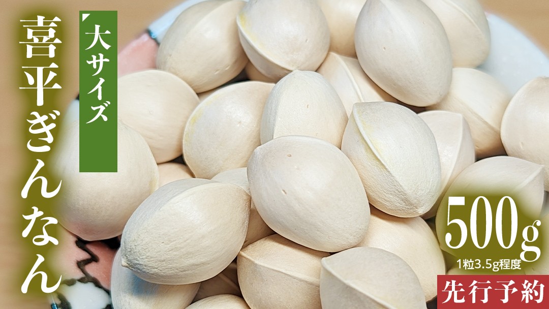 
            【先行予約】 喜平 ぎんなん 500g (1粒3.5g程度・大サイズ) 【2025年10月中旬より発送開始】  イチョウ 秋 美味 栄養満点 健康 高血圧予防 むくみ改善 疲労回復 美肌
          