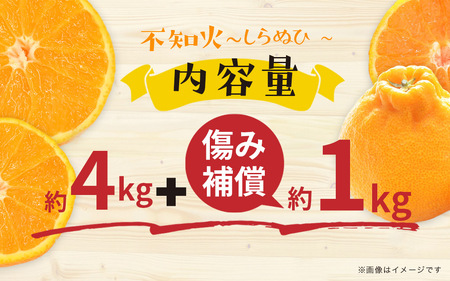 【2025年2月～3月頃発送予定】九州・福岡フルーツ王国八女｜ワケあり「不知火」（デコポンと同品種）約4kg（＋1kg傷み補償付き）＜配送不可：北海道・沖縄・離島＞ 072-167