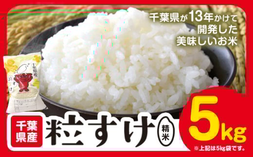 千葉県産 粒すけ 精米 5kg《90日以内に出荷予定(土日祝除く)》千葉県 勝浦市 米 お米 千葉県産 精米【配送不可地域あり】