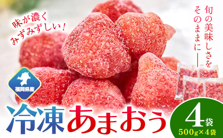 
            福岡県産 冷凍あまおう2kg(500g×4袋) 南国フルーツ株式会社《12月中旬-3月末頃出荷(土日祝除く)》福岡県 小竹町 あまおう いちご イチゴ 送料無料【配送不可地域あり】
          