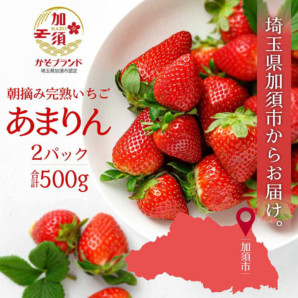 【ふるさと納税】《先行予約》「埼玉農業大賞特別賞」を受賞！ 完熟朝摘み あまりん　250g×2　(8粒～15粒)　【苺】 イチゴ おおきい スイーツ あかい 果物 いちご フルーツ 期間限定 人気いちご 甘い いちご 旬 直送 おすすめいちご ストロベリー 苺ジャム いちご