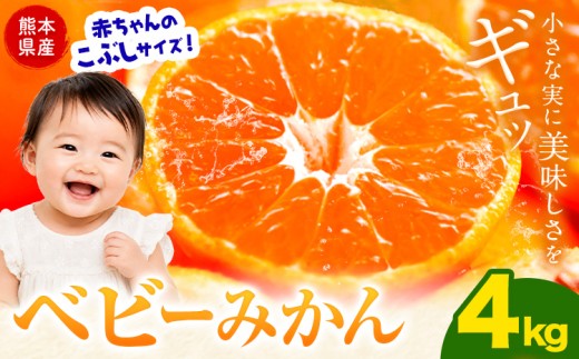 先行予約 ベビーみかん 4kg 旬 小玉 みかん《9月下旬-12月下旬頃出荷》熊本県 南関町 ご家庭用 熊本県産 S-3Sサイズ  小玉みかん フルーツ 柑橘 温州みかん 早生 中生 晩生 ジュース ゼリー 訳あり 熊本