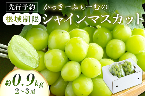 【先行予約】根域制限シャインマスカット 約0.9kg 2～3房《2025年9月中旬頃から発送》果物 シャインマスカット  【183_1873】