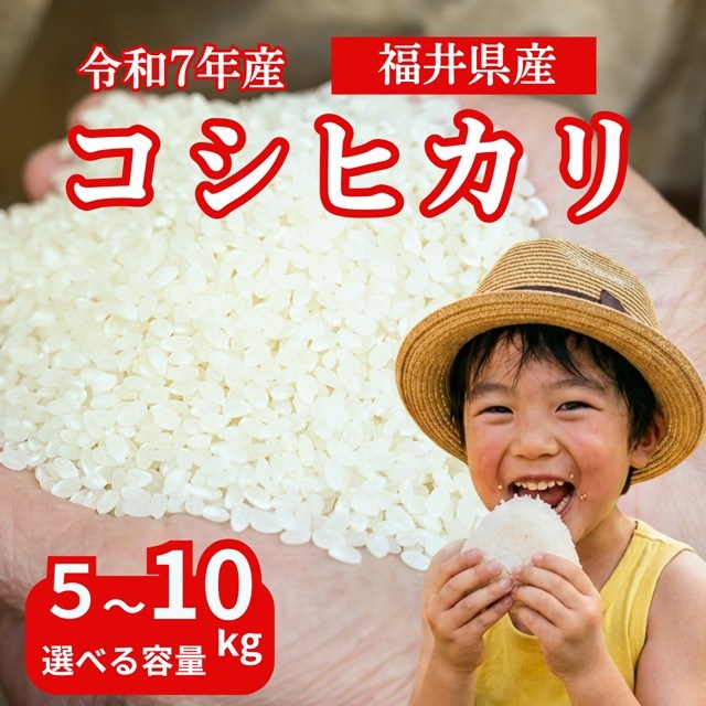 【ふるさと納税】【令和7年産】【勝山市産】農業人生60年小林さんのコシヒカリ 精米 5キロ 10キロ/ 選べる お米 米 ご飯 ブランド米 こしひかり 白米 精米 国産 北陸 福井県産 勝山市