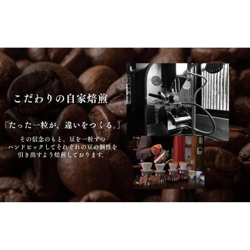 コーヒー 自家焙煎 3種セット 100g 3袋 珈琲豆 コーヒー 豆