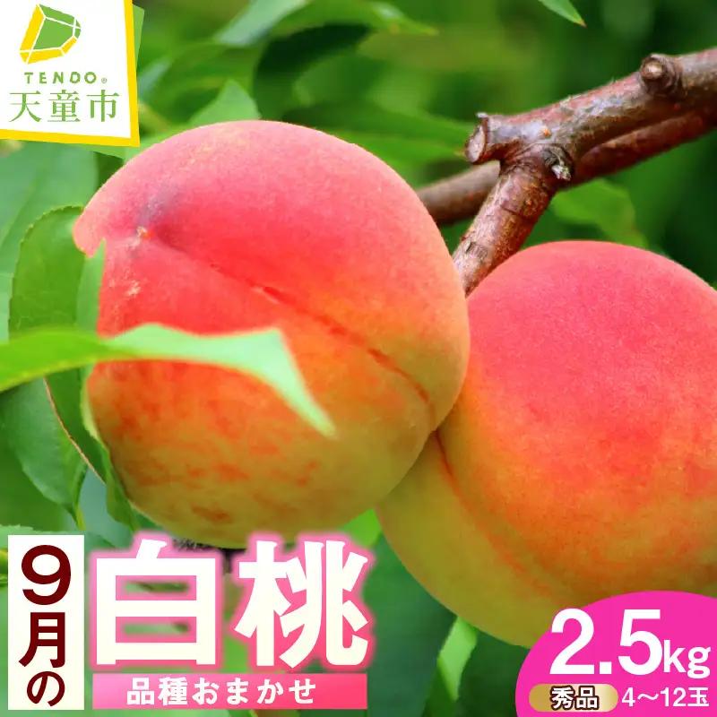 もも 9月 の 白桃 2.5kg 品種おまかせ 山形 桃