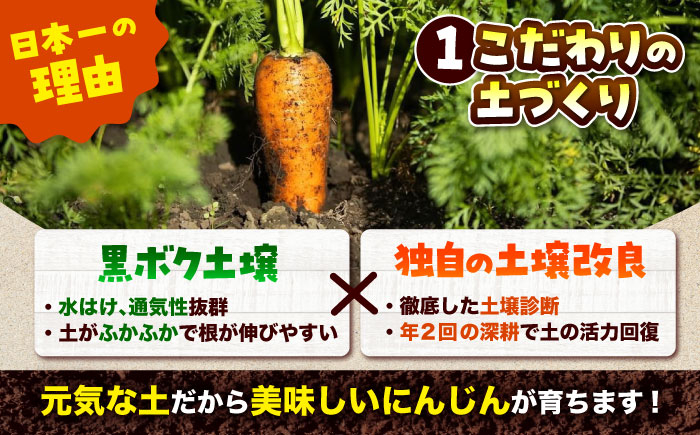 にんじん ニンジン 野菜 β-カロテン 食物繊維 抗酸化作用 栄養満点 熊本県産 菊陽町 