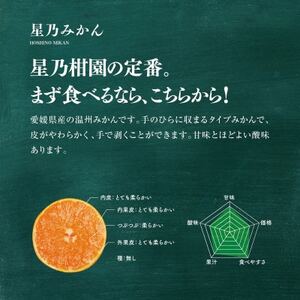 【三つ星ブランド】星乃みかん(4.5kg)【C45-90】【1582444】