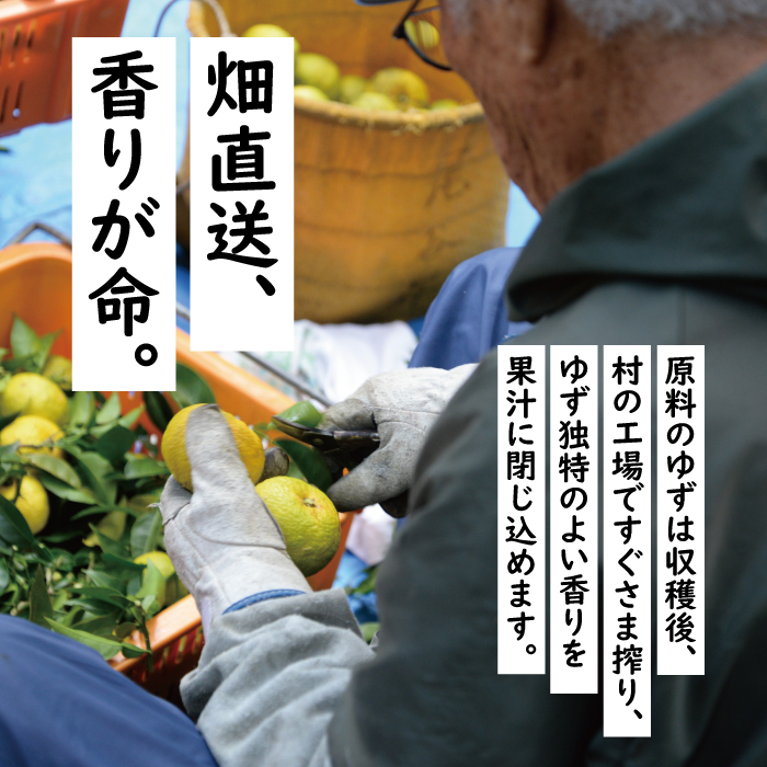 ゆずの村ぽん酢 スティックタイプ 20ml×24袋 調味料 ゆず ゆずポン酢 小袋 個包装 ドレッシング 有機 オーガニック 産地直送 ギフト お歳暮 お中元 母の日 父の日 熨斗 高知県 馬路村 【