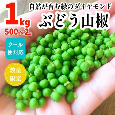 ふるさと納税 有田川町 有田のぶどう山椒 1kg (500g×2箱) 実山椒 生山椒 クール便対応 和歌山県産