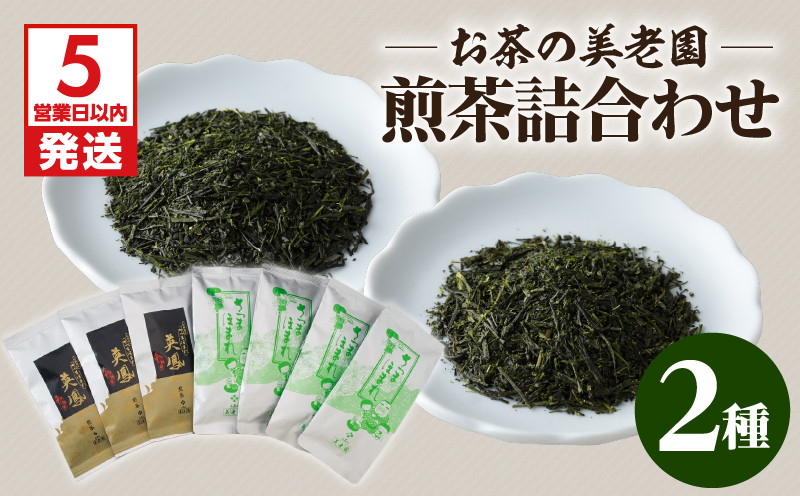 
お茶の美老園　煎茶詰合せ　K021-004
